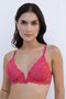 35616_dol_modelo