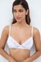 31424_bra_modelo