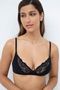 31424_pre_modelo