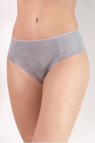 39063_nev_modelo