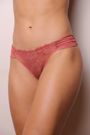 31455_ari_modelo