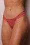 41452_ari_modelo