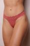 31459_ari_modelo