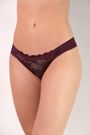 31455_win_modelo
