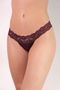 31459_win_modelo