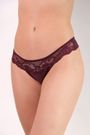 31462_win_modelo