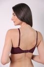 31479_win_modelo_costas